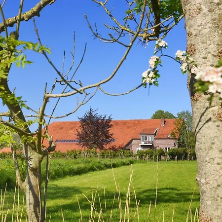 Auf Dem An Der Schafweide * Werdum
